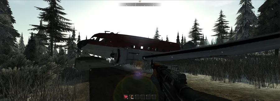 Crashed plane in a snowy forest, first-person view with a rifle
